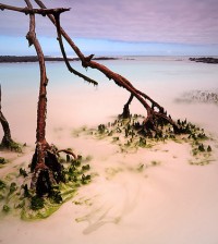 islas-galapagos-ecuador