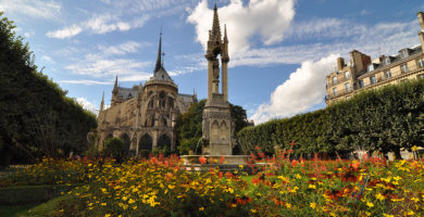 La Catedral de Notre Dame