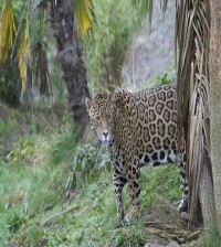 peru-viajar