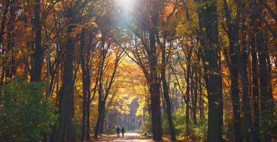 Parque Tiegarten Berlin