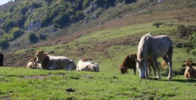 Turismo Rural - Agroturismo