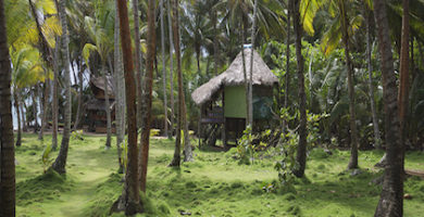 Litle corn island