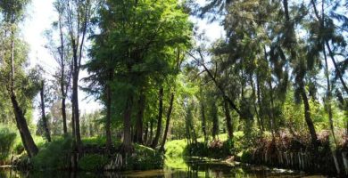 Xoximilco - México