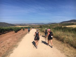 De Puente de la Reina a Estella - Camino Santiago
