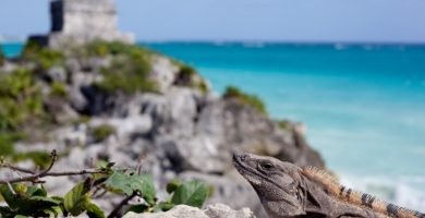 Lugares que ver en Mexico