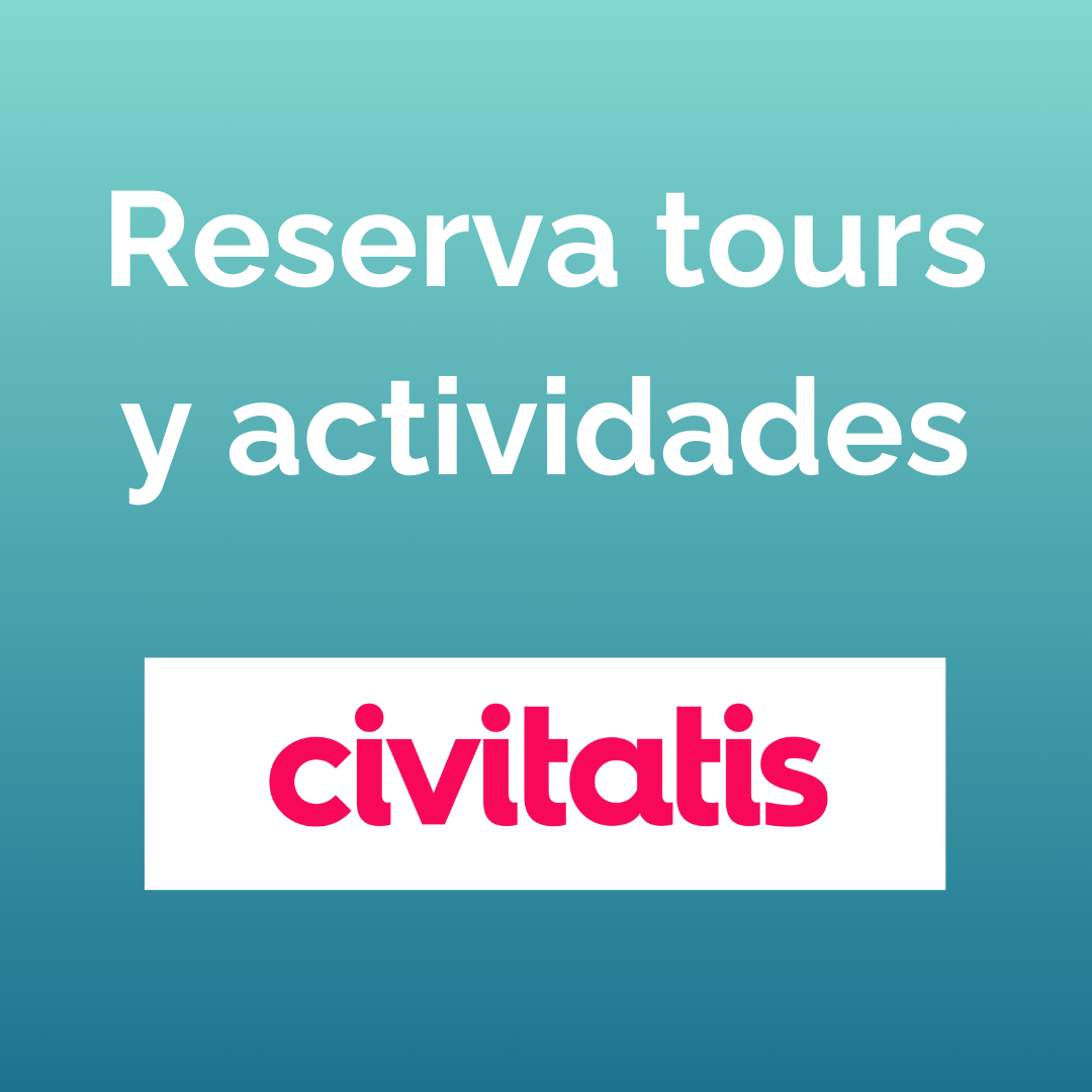 Tours y actividades para viajar